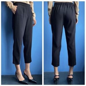 Aritzia Babaton Cohen Pants Cropped Pleated Ashen Black Minimalist Womens 2